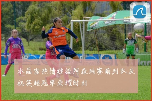 水晶宫热情迎接阿森纳赛前列队庆祝英超冠军荣耀时刻